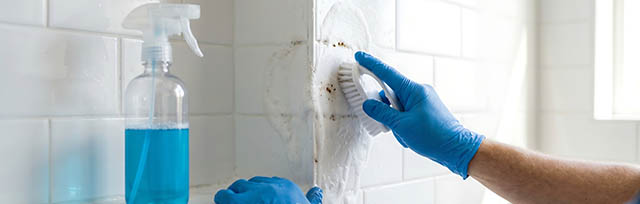 Deep Clean
